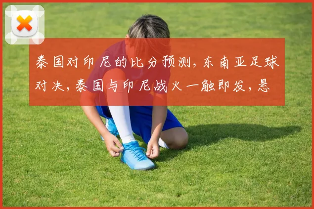 泰国对印尼的比分预测,东南亚足球对决,泰国与印尼战火一触即发,悬念重重