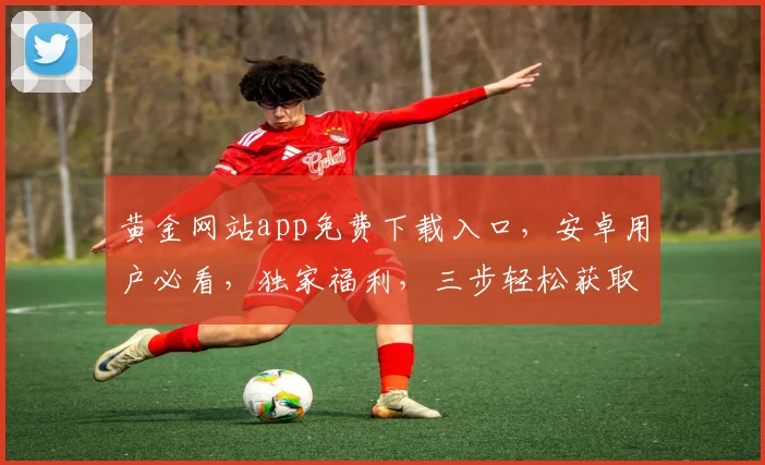 黄金网站app免费下载入口，安卓用户必看，独家福利，三步轻松获取