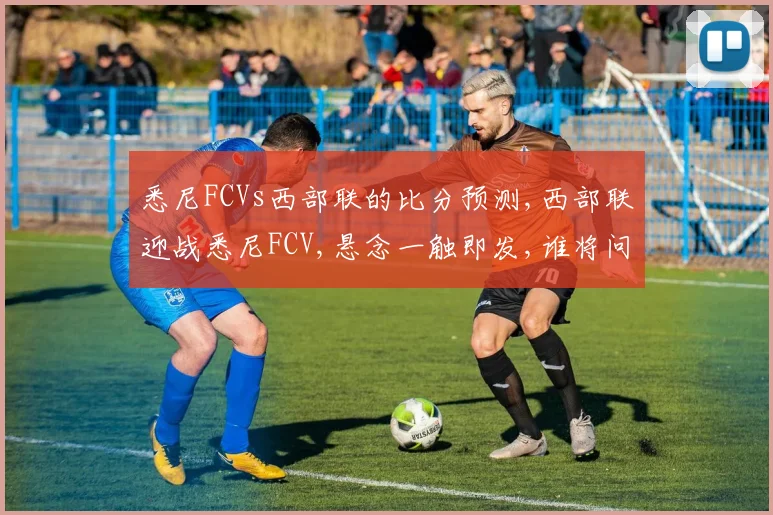 悉尼FCVs西部联的比分预测,西部联迎战悉尼FCV,悬念一触即发,谁将问鼎