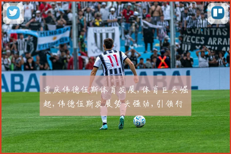 重庆伟德伍斯体育发展,体育巨头崛起,伟德伍斯发展势头强劲,引领行业新潮流