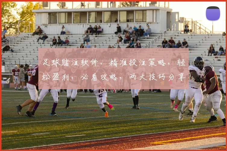 足球赌注软件，精准投注策略，轻松盈利，必看攻略，两大技巧分享